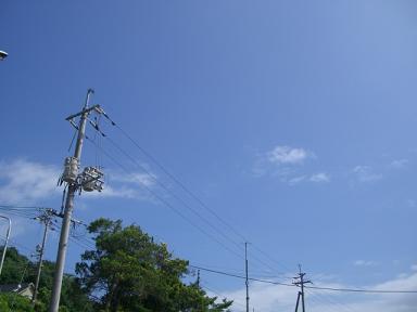 蜂が飛ぶ飛ぶ夏の空～